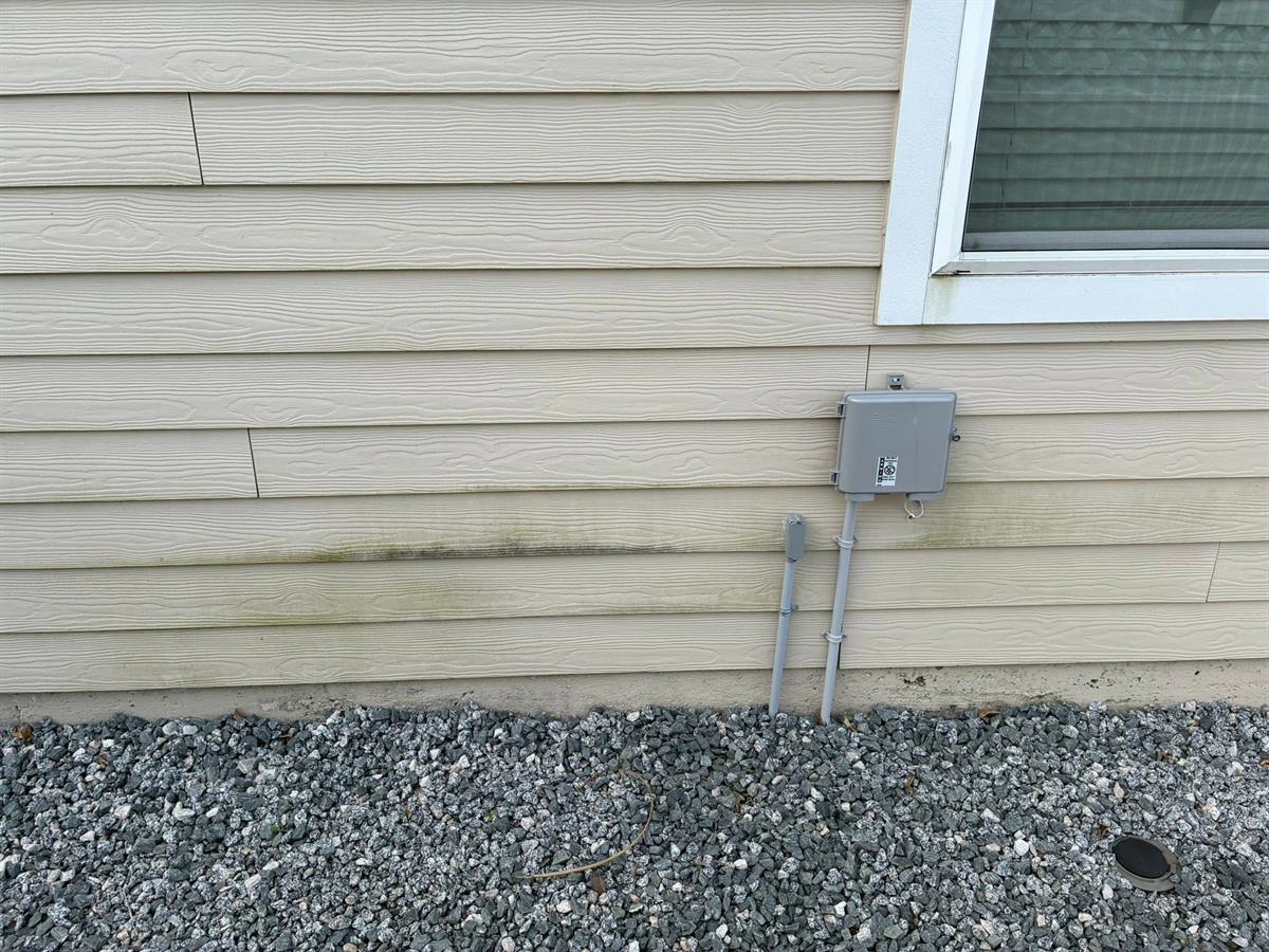 Tan lap siding before cleaning, with a green line of mildew near the ground