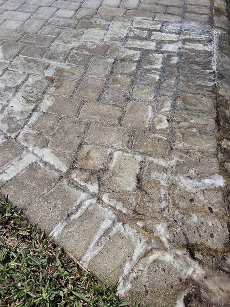 Paver walkway before cleaning, covered in a white haze and dirt